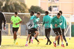 144636499_413551379720655_5629613429648381330_n