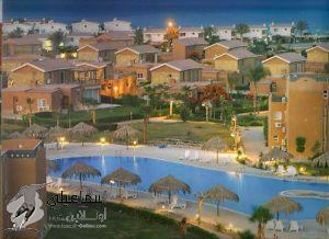 FB_IMG_1613826903479